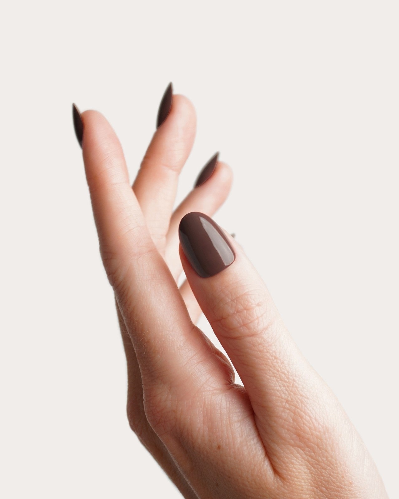 Press Ons in Soft Gel Café Noir Rotonde Corte