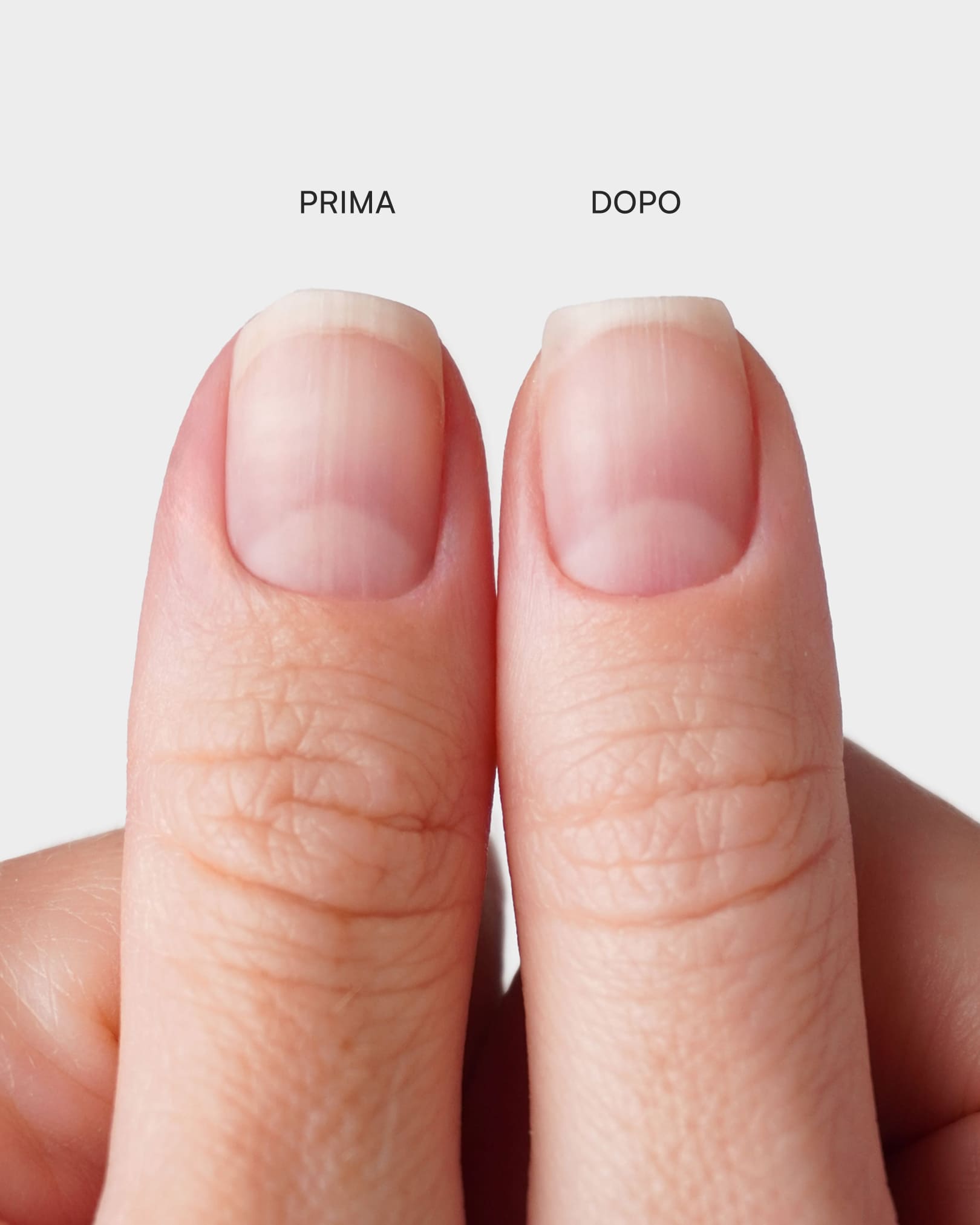 Set Lime Premium a Mezzaluna